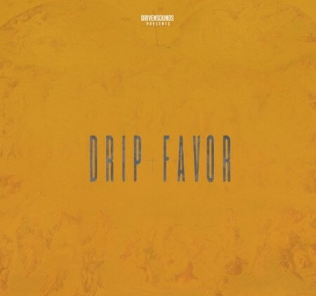 DRIVENSOUNDS DRIP FAVOR WAV